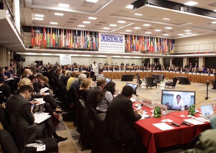 OSCE Torture meeting