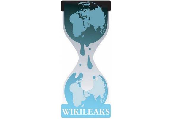 Il limite di Wikileaks