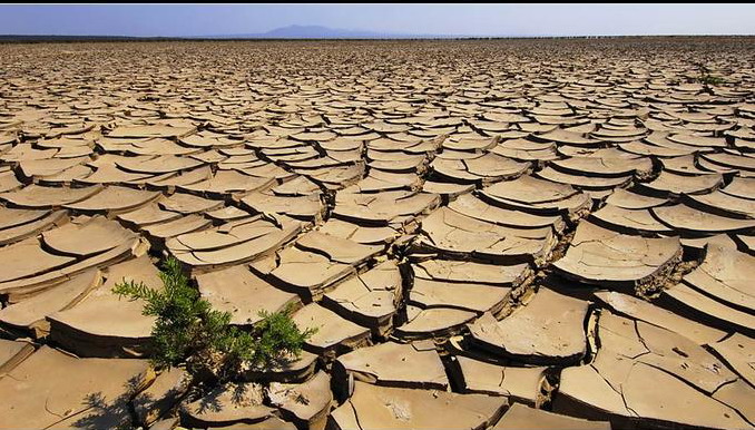 Giornata mondiale contro la desertificazione: l'emergenza tocca anche l'Italia