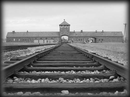 Un viaggio tra i campi di sterminio nazista