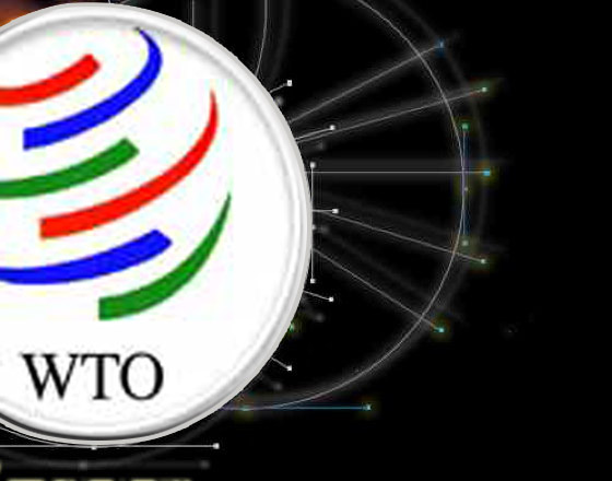 WTO: verso un cattivo accordo? L'Italia non firmi e guidi la protesta in Europa!